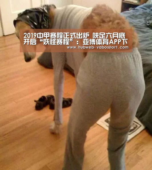 2019中甲赛程正式出炉 陕足六月底开启“妖怪赛程”:亚博体育APP下载(图2) 亚博官方