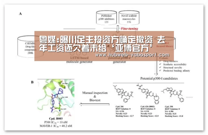 粤媒:曝川足主投资方确定撤资 去年工资还欠着未给‘亚博官方’(图1) 亚博体育登录
