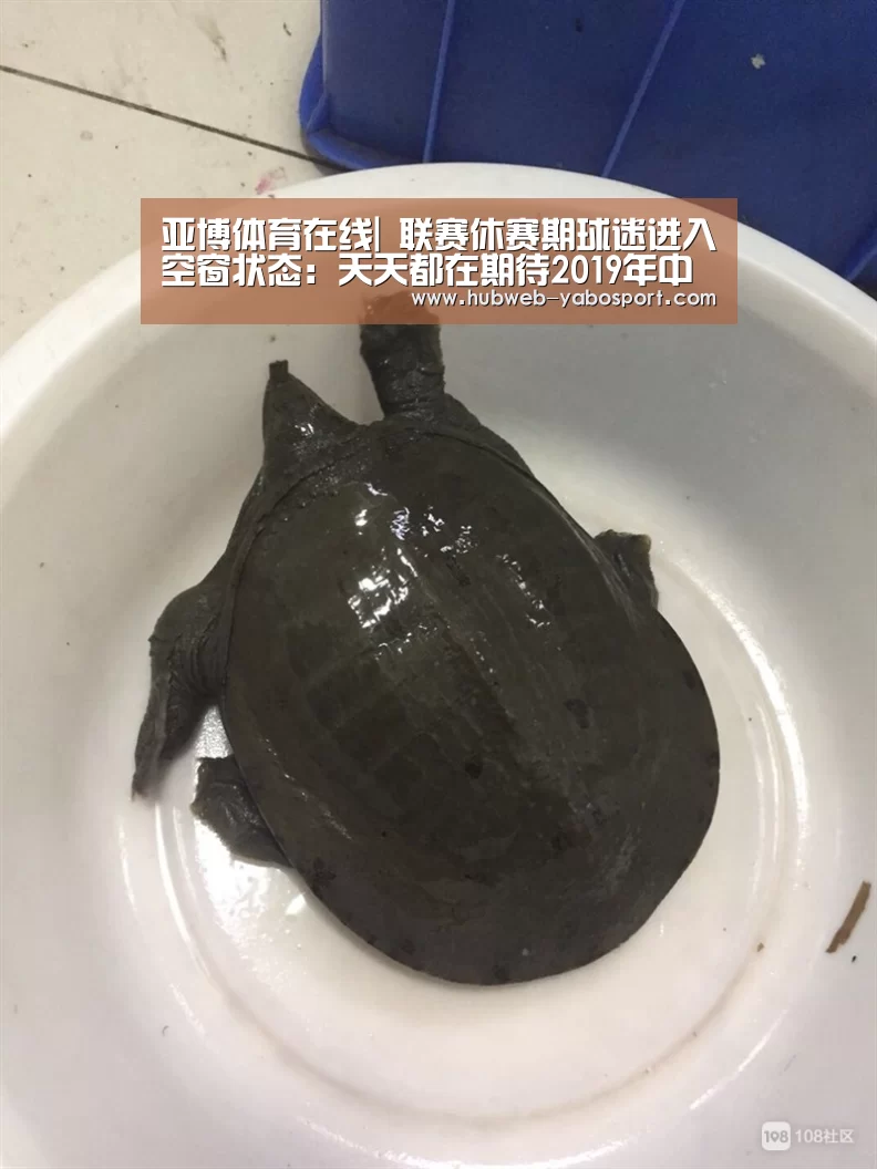 亚博体育在线|
联赛休赛期球迷进入空窗状态:天天都在期待2019年中超赛程表!(图4) 亚博官方