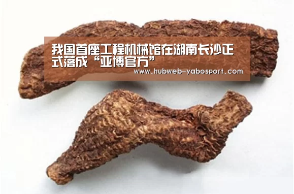 我国首座工程机械馆在湖南长沙正式落成“亚博官方”(图2) 亚博体育登录