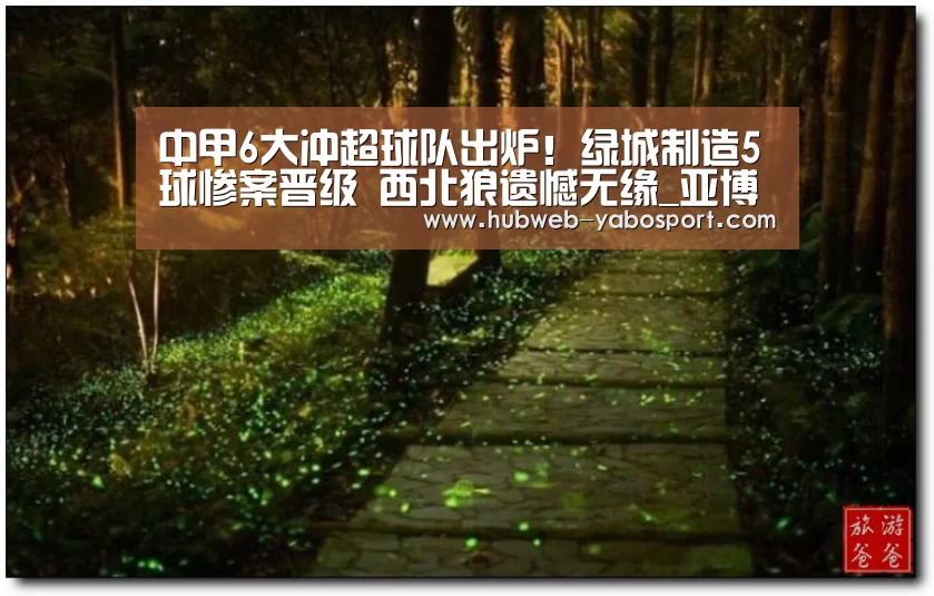中甲6大冲超球队出炉!绿城制造5球惨案晋级 西北狼遗憾无缘_亚博体育在线(图2) 亚博体育登录